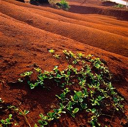 冰墩墩雪容融携手国漫群英 《我们的冬奥》发布唯美国风海报预告